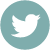 Social Twitter